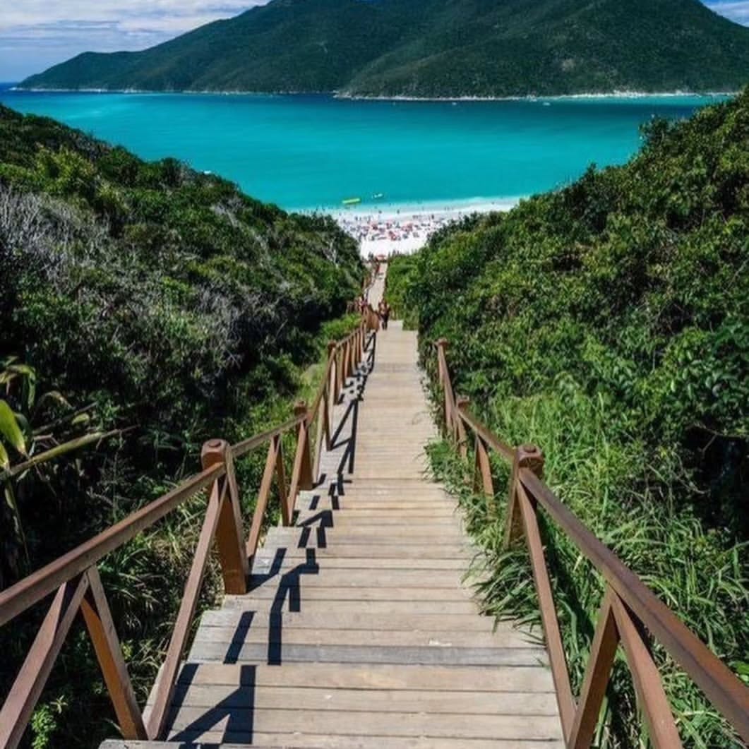 WhatsApp Image 2025-02-06 at 18.16.41.jpeg