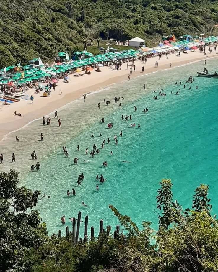 WhatsApp Image 2025-02-06 at 18.16.40.jpeg