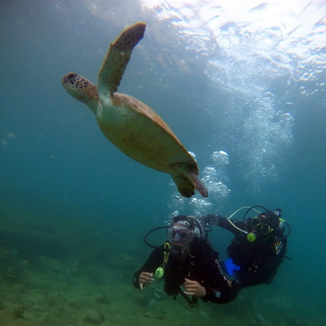 WhatsApp Image 2025-02-04 at 18.10.28 (1).jpeg